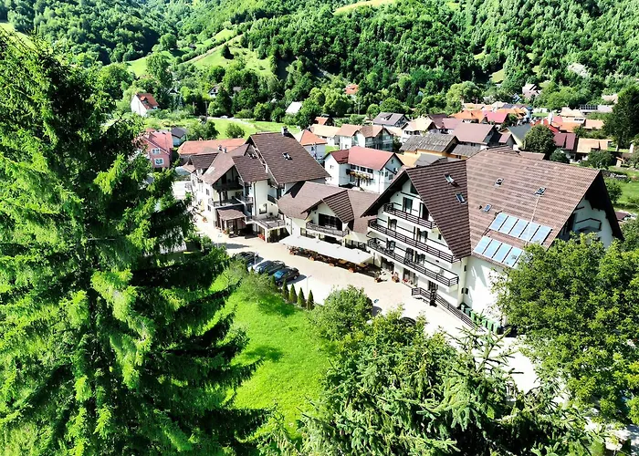 Pensiunea Andrei Moieciu